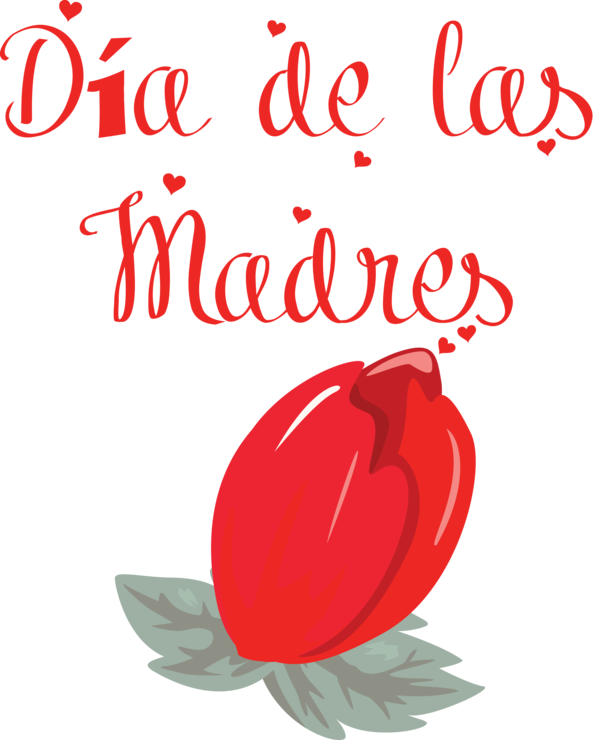 Transparent Mother's Day Cut flowers Flower Petal for Día de las Madres for Mothers Day