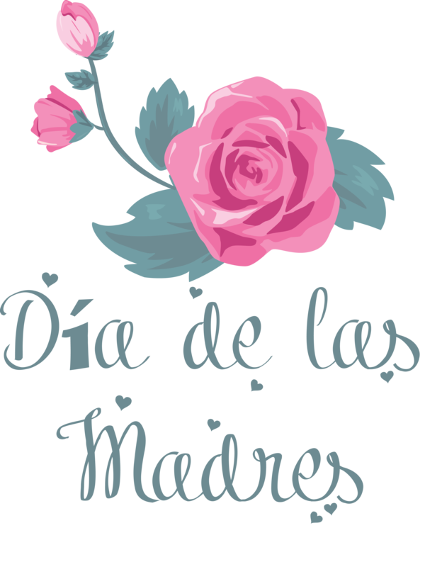 Transparent Mother's Day Floral design Garden roses Cut flowers for Día de las Madres for Mothers Day
