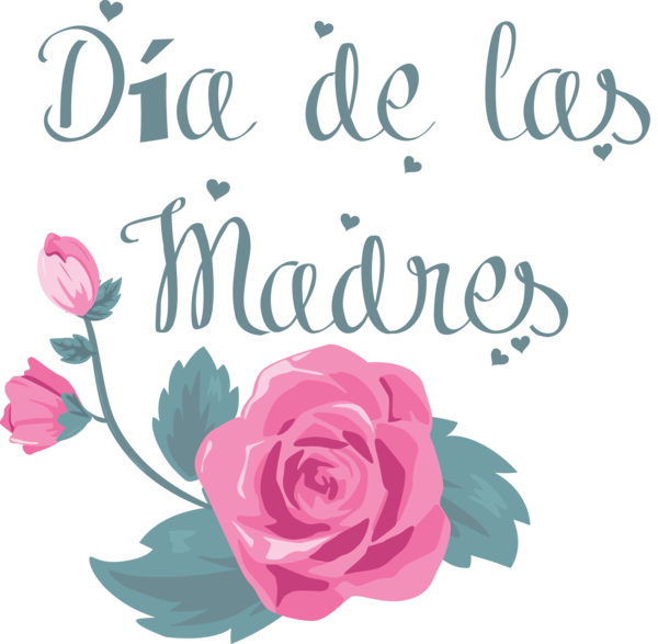 Transparent Mother's Day Floral design Garden roses Rose for Día de las Madres for Mothers Day