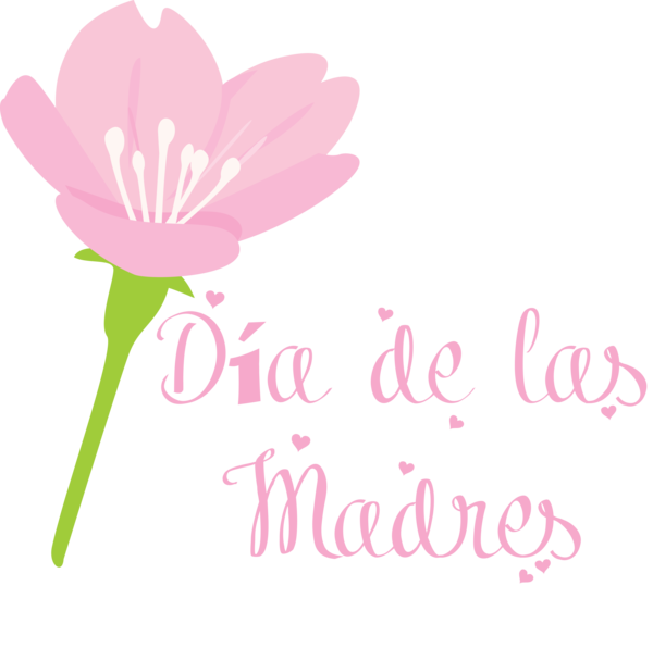 Transparent Mother's Day Floral design Herbaceous plant Cut flowers for Día de las Madres for Mothers Day