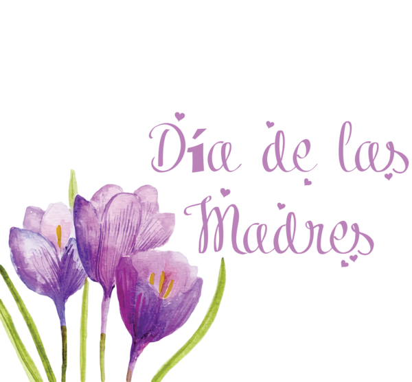 Transparent Mother's Day Crocus Floral design Petal for Día de las Madres for Mothers Day