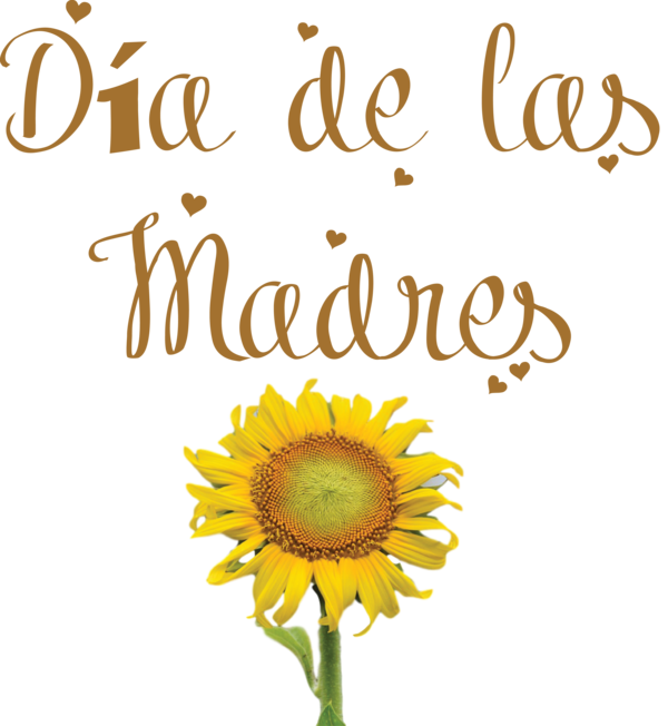 Transparent Mother's Day Floral design Daisy family Sunflower Seeds for Día de las Madres for Mothers Day
