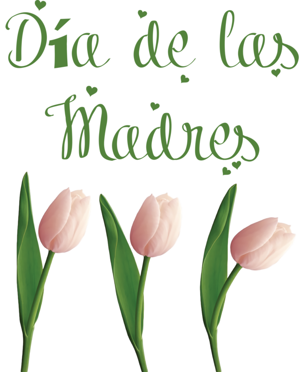 Transparent Mother's Day Plant stem Floral design Tulip for Día de las Madres for Mothers Day