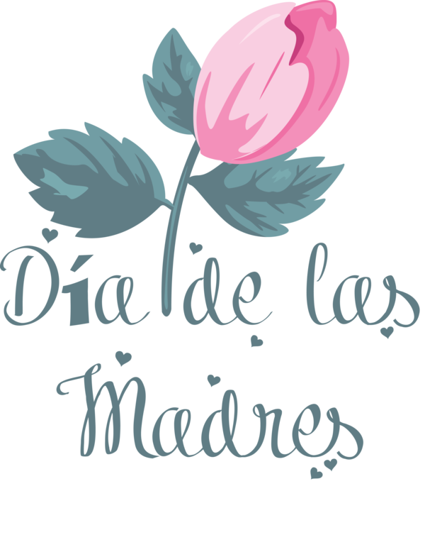 Transparent Mother's Day Floral design Cut flowers Design for Día de las Madres for Mothers Day