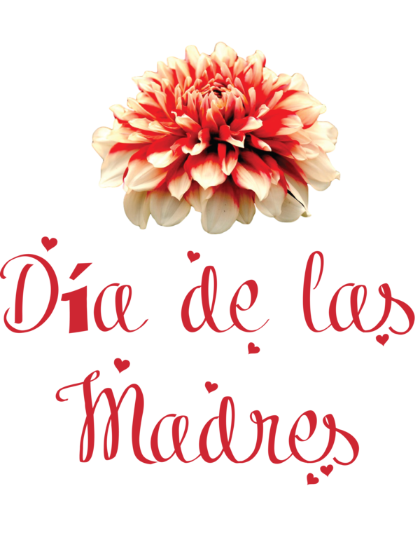 Transparent Mother's Day Floral design Cut flowers Flower for Día de las Madres for Mothers Day