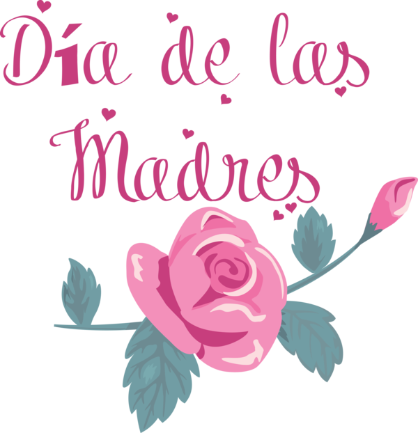 Transparent Mother's Day Floral design Garden roses Rose for Día de las Madres for Mothers Day
