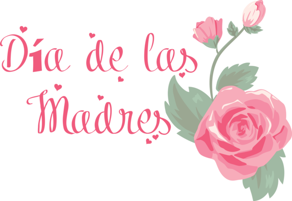 Transparent Mother's Day Floral design Garden roses Rose family for Día de las Madres for Mothers Day