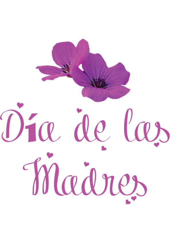 Transparent Mother's Day Cut flowers Herbaceous plant Floral design for Día de las Madres for Mothers Day