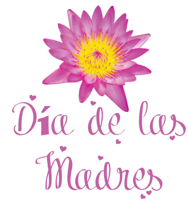 Transparent Mother's Day Dahlia Cut flowers Floral design for Día de las Madres for Mothers Day