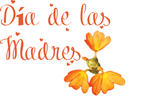 Transparent Mother's Day Cut flowers Leaf Floral design for Día de las Madres for Mothers Day