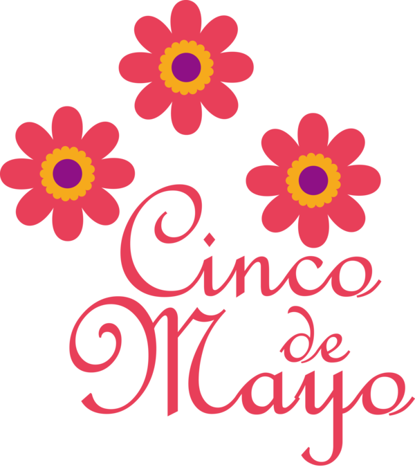 Transparent Cinco de mayo Flower Floral design Cut flowers for Fifth of May for Cinco De Mayo