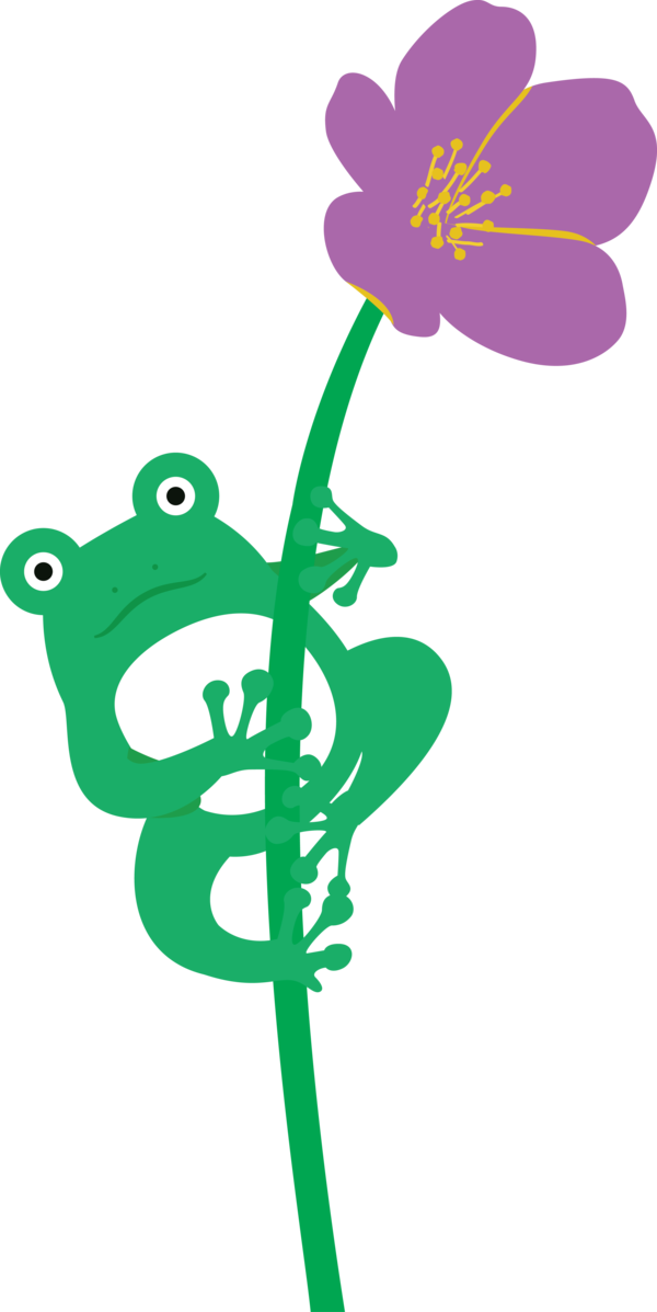 Transparent World Frog Day Flower Plant stem Pollinator for Cartoon Frog for World Frog Day