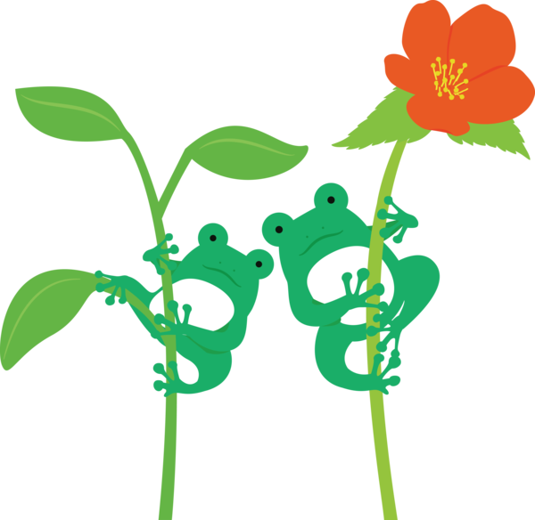 Transparent World Frog Day Leaf Plant stem Floral design for Cartoon Frog for World Frog Day