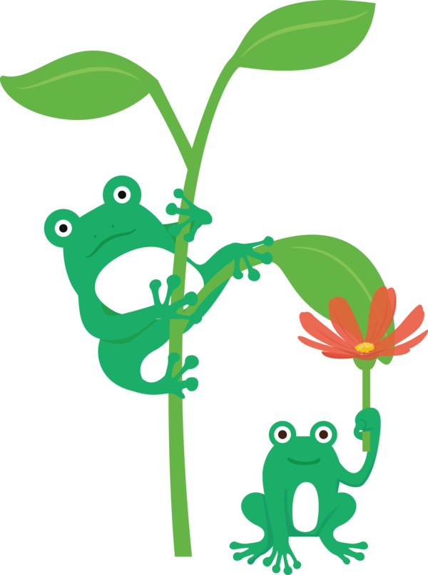 Transparent World Frog Day Frogs Tree frog Leaf for Cartoon Frog for World Frog Day