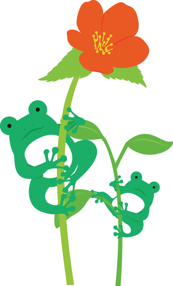 Transparent World Frog Day Floral design Leaf Plant stem for Cartoon Frog for World Frog Day