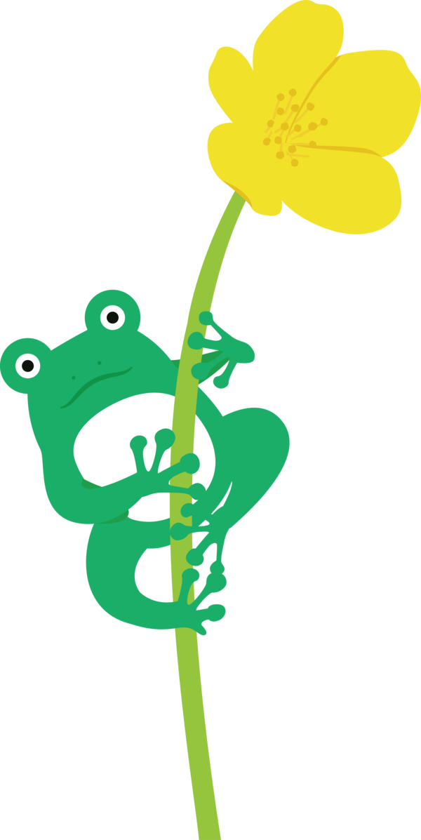 Transparent World Frog Day Flower Petal Plant stem for Cartoon Frog for World Frog Day