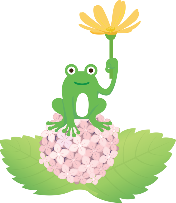 Transparent World Frog Day Tree frog Cartoon Leaf for Cartoon Frog for World Frog Day