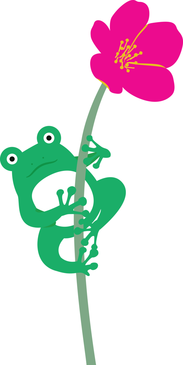 Transparent World Frog Day Flower Plant stem Petal for Cartoon Frog for World Frog Day