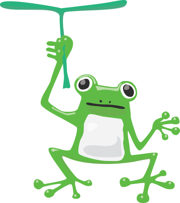 Transparent World Frog Day True frog Frogs Toad for Cartoon Frog for World Frog Day