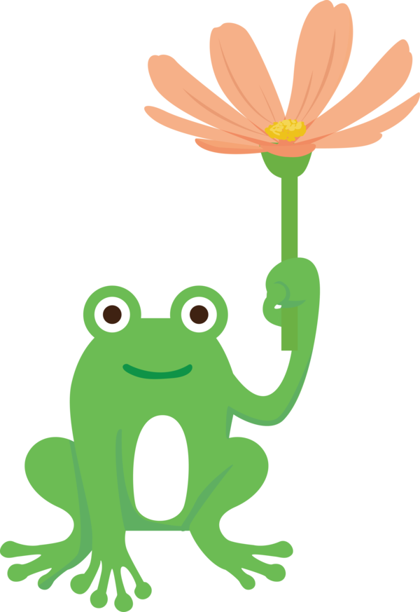 Transparent World Frog Day True frog  Toad for Cartoon Frog for World Frog Day