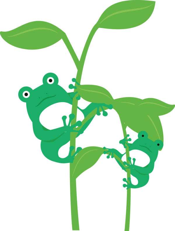 Transparent World Frog Day Frogs Leaf Plant stem for Cartoon Frog for World Frog Day