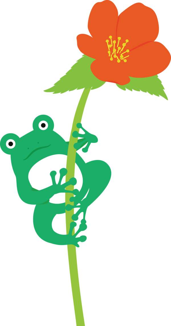 Transparent World Frog Day Flower Plant stem Frogs for Cartoon Frog for World Frog Day