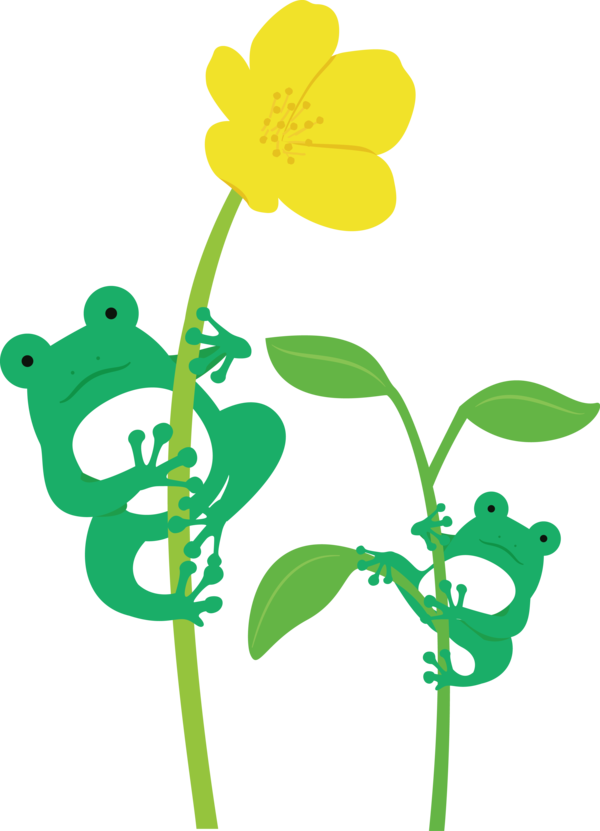 Transparent World Frog Day Cut flowers Leaf Plant stem for Cartoon Frog for World Frog Day