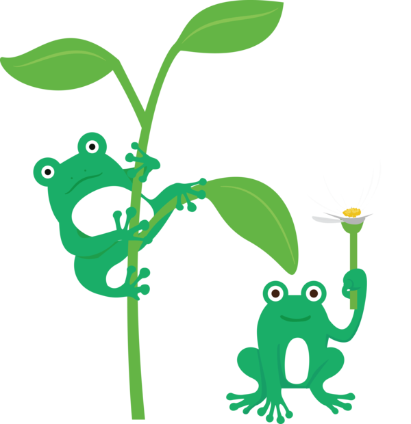 Transparent World Frog Day Frogs Leaf Tree frog for Cartoon Frog for World Frog Day