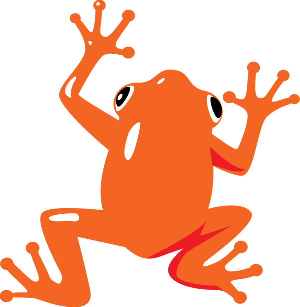 Transparent World Frog Day Frogs Tree frog Toad for Cartoon Frog for World Frog Day