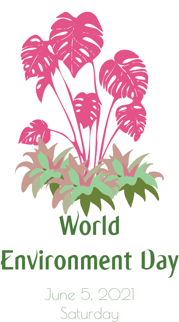 Transparent World Environment Day Floral design Leaf Plant stem for Environment Day for World Environment Day