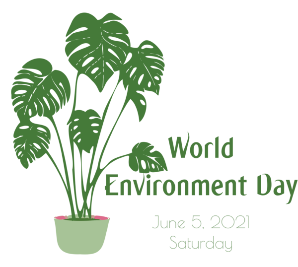 Transparent World Environment Day User interface design Design Leaf for Environment Day for World Environment Day
