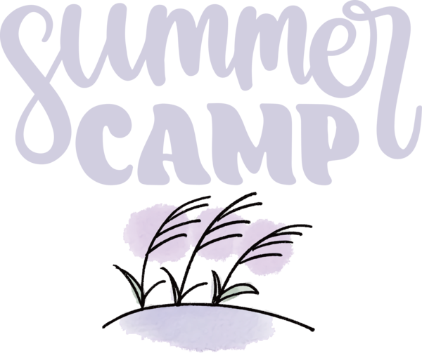 Transparent Summer Day Cetaceans Summer camp Logo for Summer Camp for Summer Day