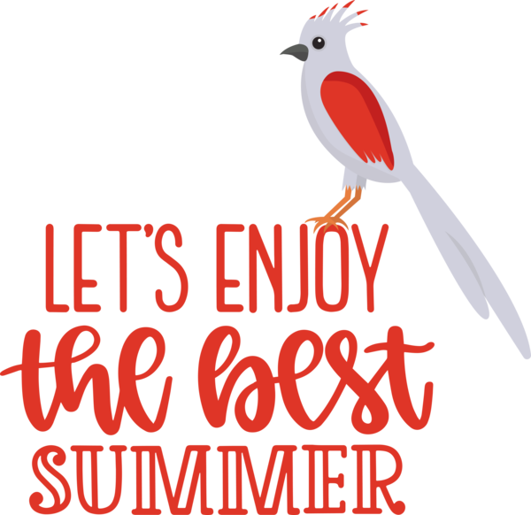 Transparent Summer Day Birds Logo Beak for Best Summer for Summer Day