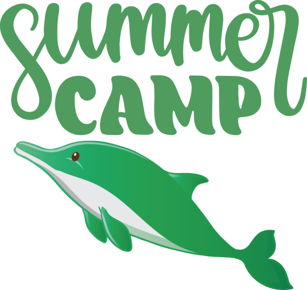 Transparent Summer Day Dolphin Porpoises Cetaceans for Summer Camp for Summer Day