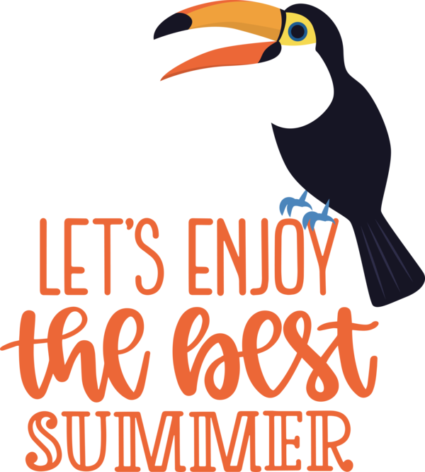 Transparent Summer Day Birds Toucans Beak for Best Summer for Summer Day