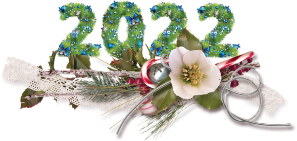 Transparent New Year Floral design Cut flowers Artificial flower for Happy New Year 2022 for New Year