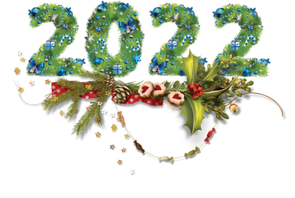 Transparent New Year Holly Floral design Wreath for Happy New Year 2022 for New Year