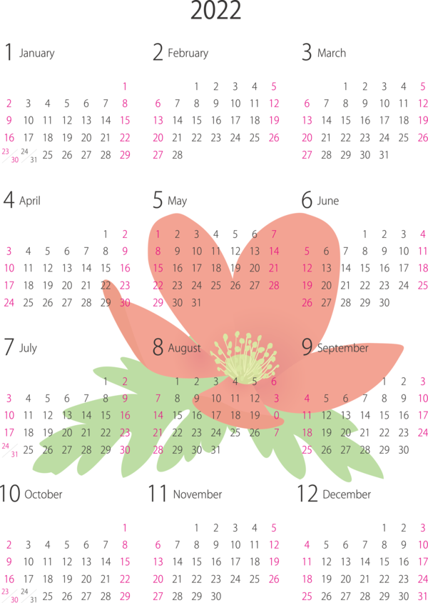 Transparent New Year Flower Petal Calendar System for Printable 2022 Calendar for New Year