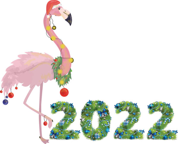 Transparent New Year Birds Beak Water bird for Happy New Year 2022 for New Year