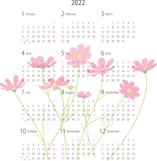 Transparent New Year Flower Aktar Diyarı Toz Sığır Jelatin Gr Petal for Printable 2022 Calendar for New Year