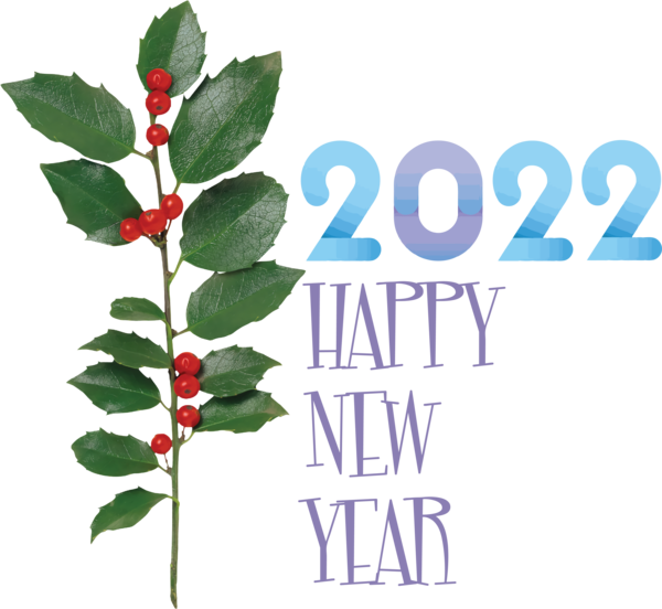 Transparent New Year Common holly Japanese holly Plant for Happy New Year 2022 for New Year