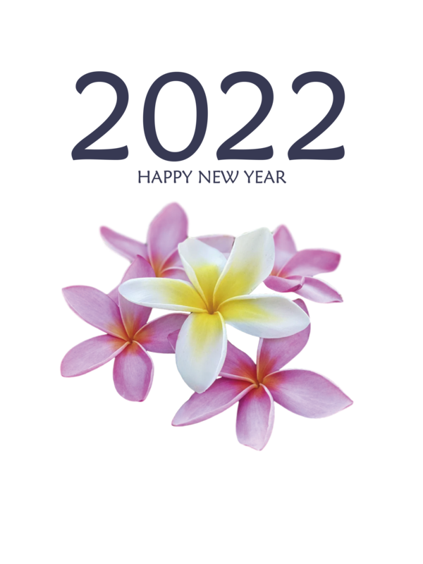 Transparent New Year Cut flowers Moth orchids Petal for Happy New Year 2022 for New Year