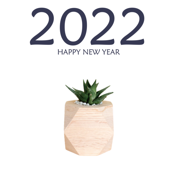 Transparent New Year Plant Flowerpot Font for Happy New Year 2022 for New Year