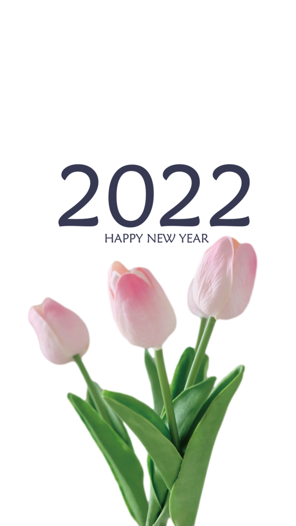 Transparent New Year Plant stem Tulip Cut flowers for Happy New Year 2022 for New Year