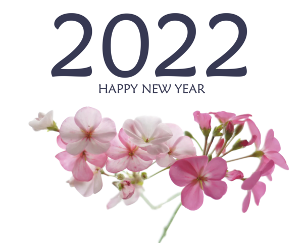 Transparent New Year Floral design バツイチ Dating agency for Happy New Year 2022 for New Year