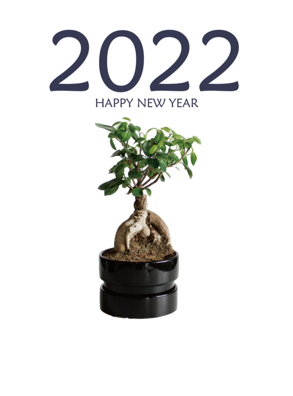 Transparent New Year Tree Bonsai Plant for Happy New Year 2022 for New Year