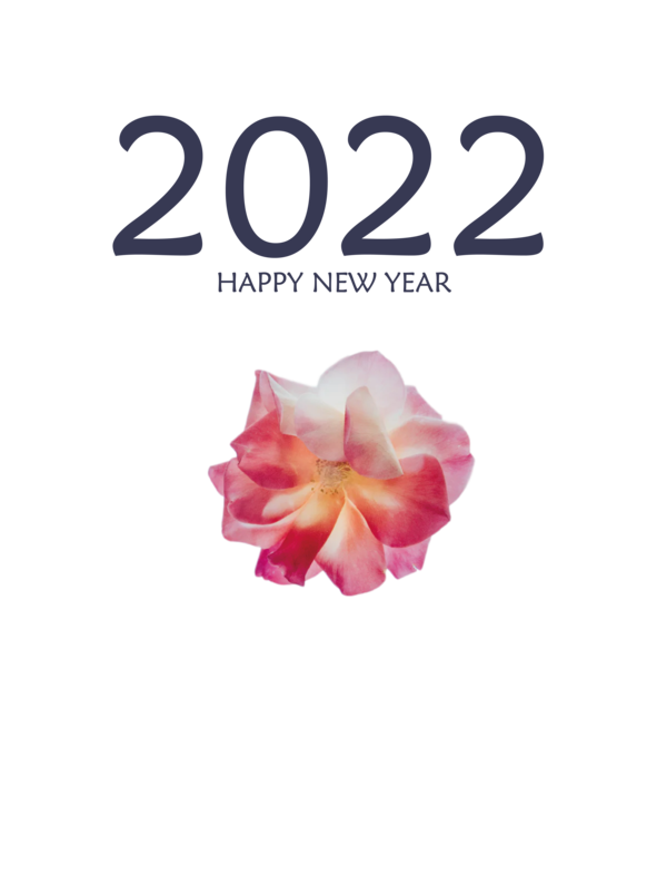Transparent New Year Saudi Arabia for Happy New Year 2022 for New Year