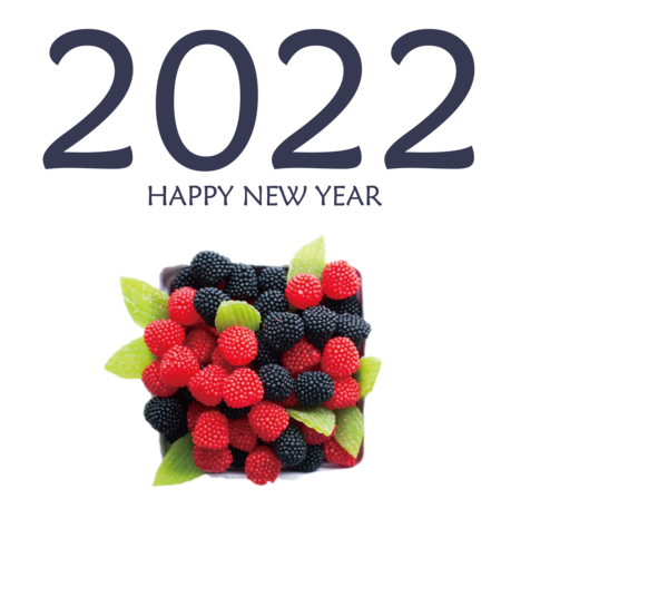 Transparent New Year Berry Raspberry Blackberries for Happy New Year 2022 for New Year