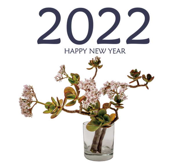Transparent New Year Houseplant  Floral design for Happy New Year 2022 for New Year