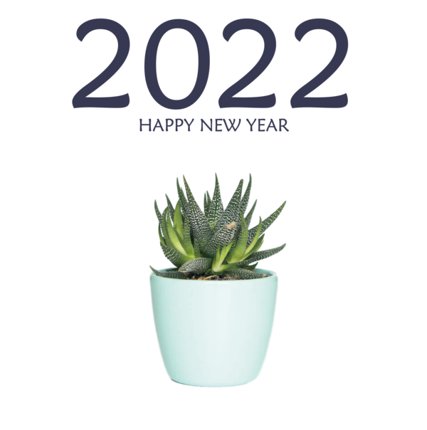 Transparent New Year Houseplant Succulent plant Flowerpot for Happy New Year 2022 for New Year